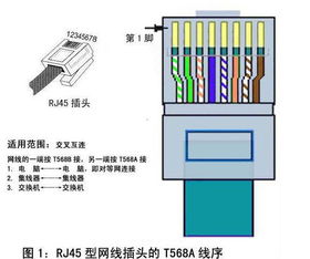 网线接线错误导致电视电脑不通的原因与解决方法